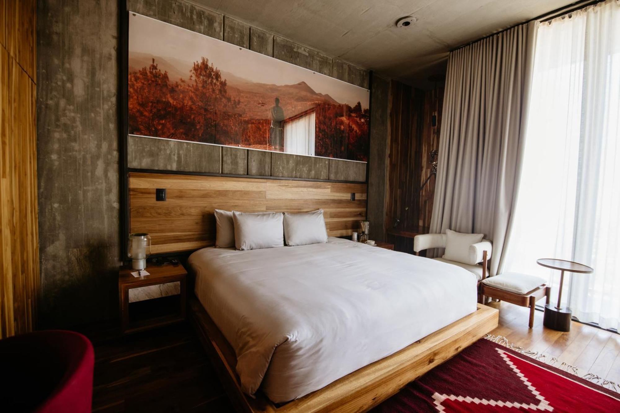 Flavia Hotel Oaxaca Pokoj fotografie